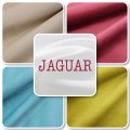 JAGUAR - велюр